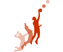 Pallavolo